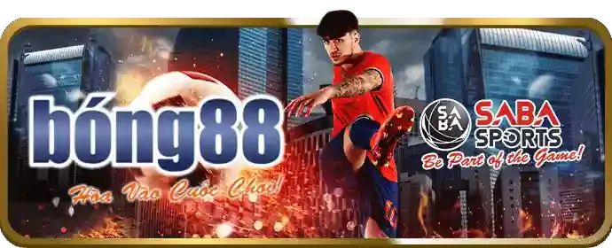 Cam kết dịch vụ khách hàng của ss88